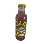 Calypso Island Wave Lemonade 473 ML