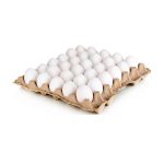 Eggs Tray