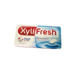 XyliFresh Peppermint Chewing Gum